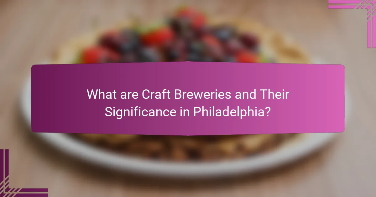 What are Craft Breweries and Their Significance in Philadelphia?