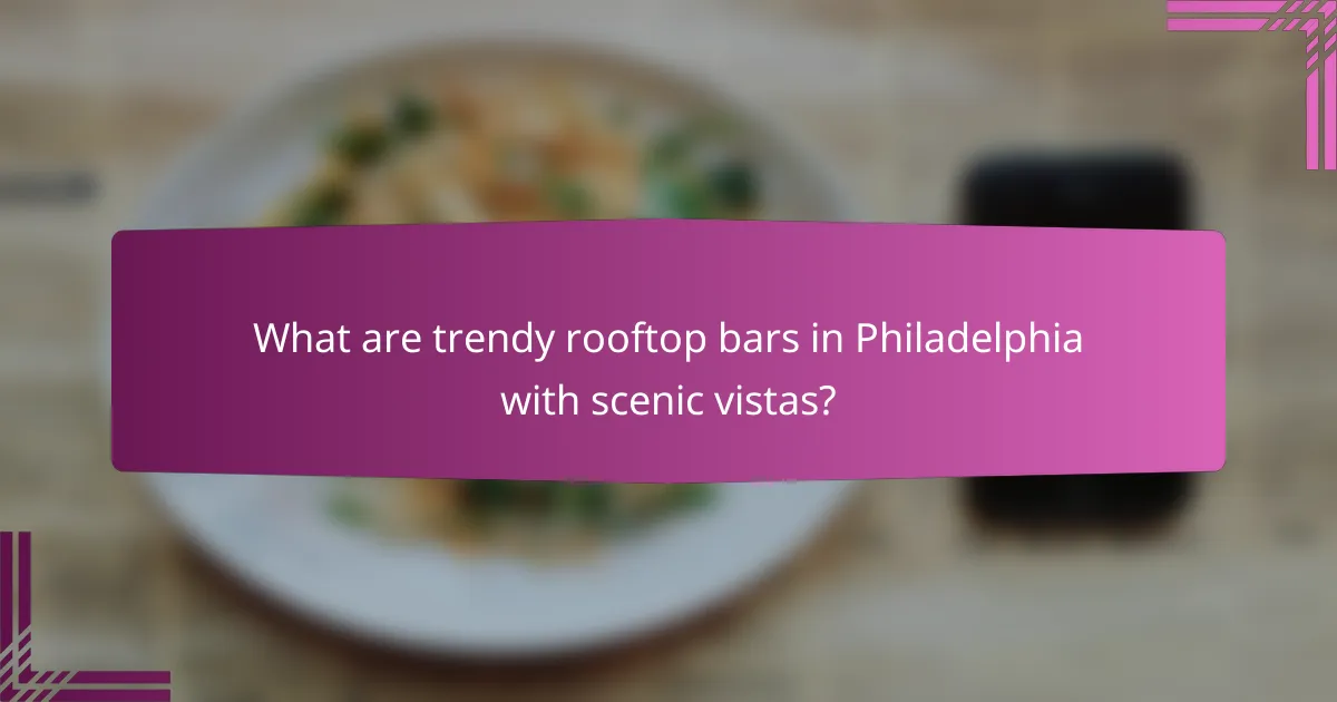 What are trendy rooftop bars in Philadelphia with scenic vistas?